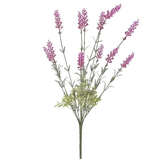 ΛΕΒΑΝΤΑ ΜΠΟΥΚΕΤΟ ΦΟΥΞ ΑΝΟΙΧΤΟ X10 Υ45cm. 24/144ΚΙΒ – Προσφέρει μοναδική αισθητική | iroots.gr