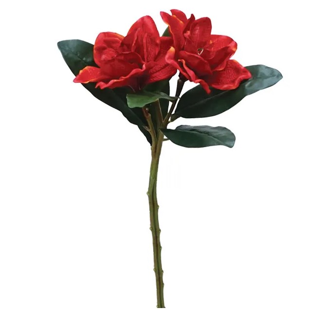 ΚΛΑΔΙ ΚΟΚΚΙΝΟ ΑΝΘΟΣ Χ2 Y50cm. 12/120KIB