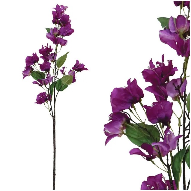 ΚΛΑΔΙ ΜΩΒ ΒΟΥΚΑΜΒΙΛΙΑ Y100cm. 48/288KIB – Προσφέρει μοναδική αισθητική | iroots.gr