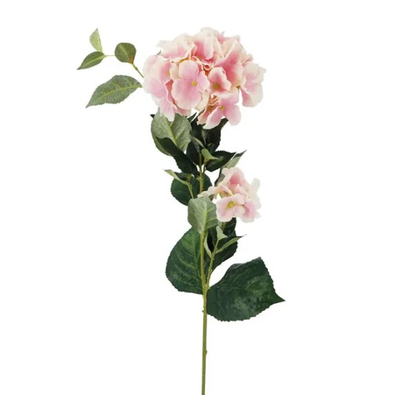 ΚΛΑΔΙ ΡΟΖ ΟΡΤΑΝΣΙΑ Χ2 Y94cm ΔΙΑΜ20-10cm 24/120KIB – Προσφέρει μοναδική αισθητική | iroots.gr