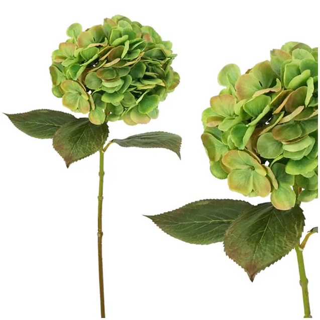 ΚΛΑΔΙ ΠΡΑΣΙΝΟ/ΠΟΡΤΟΚΑΛΙ ΟΡΤΑΝΣΙΑ ΜΟΝΗ Υ60cm 12/96ΚΙΒ – Δίνει premium χαρακτήρα στο περιβάλλον | iroots.gr