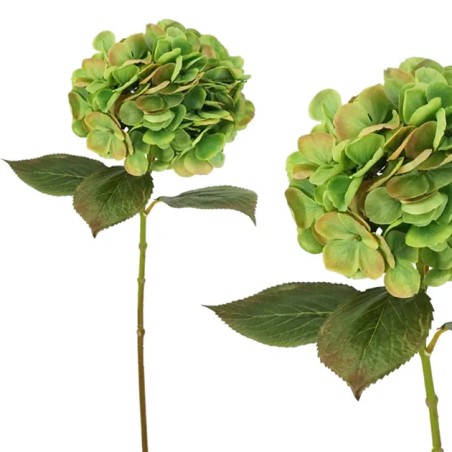 ΚΛΑΔΙ ΠΡΑΣΙΝΟ/ΠΟΡΤΟΚΑΛΙ ΟΡΤΑΝΣΙΑ ΜΟΝΗ Υ60cm 12/96ΚΙΒ – Δίνει premium χαρακτήρα στο περιβάλλον | iroots.gr