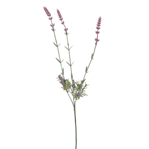 ΚΛΑΔΙ ΛΕΒΑΝΤΑ Χ3 Y70cm 48/288KIB – Προσφέρει μοναδική αισθητική | iroots.gr