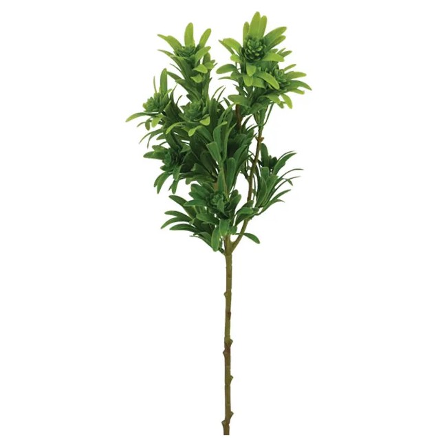 ΚΛΑΔΙ ΠΡΑΣΙΝΟ ΦΥΛΛΑΡΑΚΙ Y56cm 60/240KIB