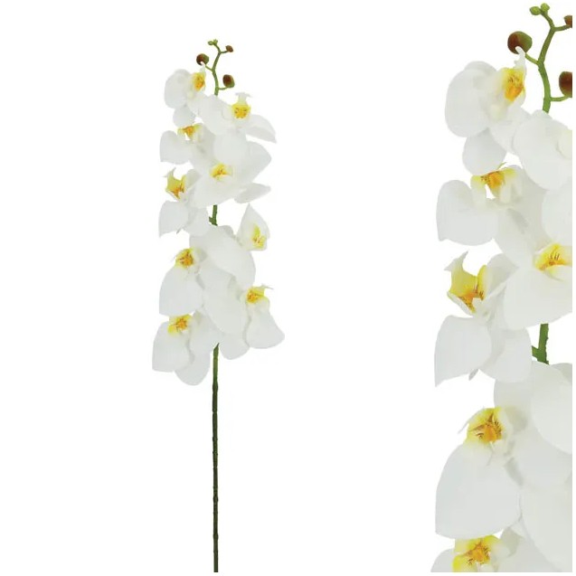 ΚΛΑΔΙ ΛΕΥΚΟ ΟΡΧΙΔΕΑΣ REAL TOUCH 90CM 12/96KIB – Ταιριάζει σε κάθε μοντέρνο ή επαγγελματικό χώρο | iroots.gr