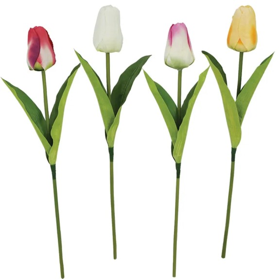 ΚΛΑΔΙ ΤΟΥΛΙΠΑ ASS (4 XΡΩΜΑΤΑ) - Υ55cm 10/24KIB – Δημιουργεί αίσθηση πολυτέλειας χωρίς κόπο | iroots.gr