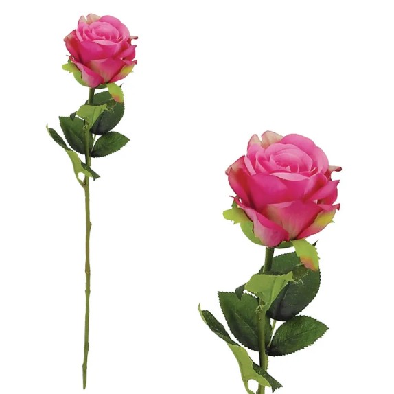 ΚΛΑΔΙ ΤΡΙΑΝΤΑΦΥΛΛΟ ΦΟΥΞ BEAUTY 48/480KIB – Προσφέρει μοναδική αισθητική | iroots.gr