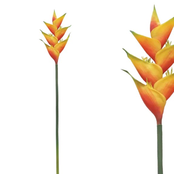 ΚΛΑΔΙ ΕΛΙΚΟΝΙΑ ΠΟΡΤΟΚΑΛΙ - Y91cm 12/96ΚIB – Ταιριάζει σε κάθε μοντέρνο ή επαγγελματικό χώρο | iroots.gr