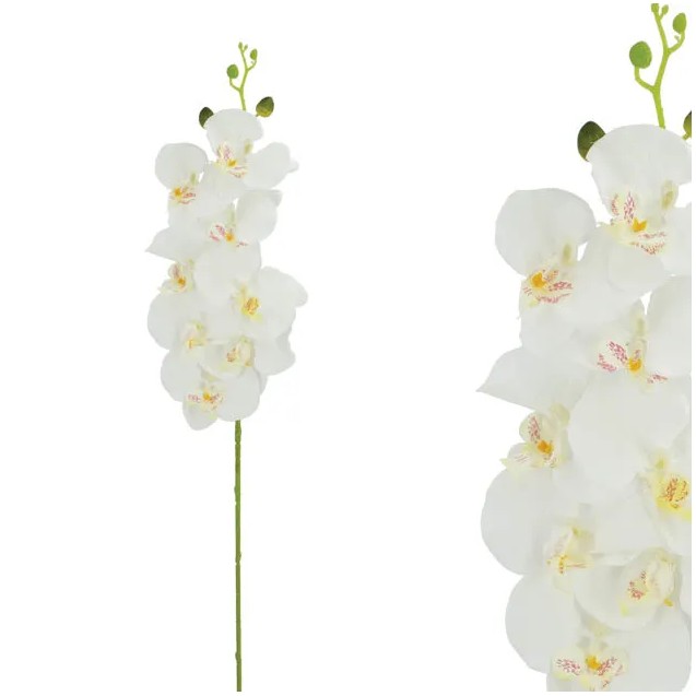 ΚΛΑΔΙ ΛΕΥΚΟ ΟΡΧΙΔΕΑ Y90cm 12/120ΚΙΒ