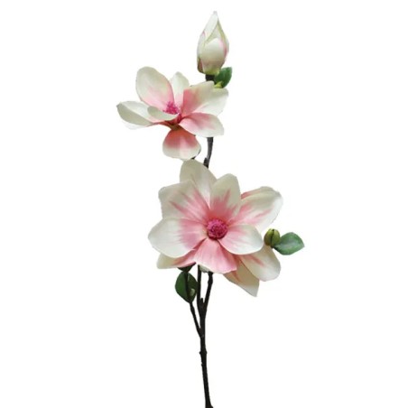 ΚΛΑΔΙ ΜΑΝΩΛΙΑ ΡΟΖ Y83cm. 12/144KIB – Αναβαθμίζει άμεσα τον χώρο σου | iroots.gr