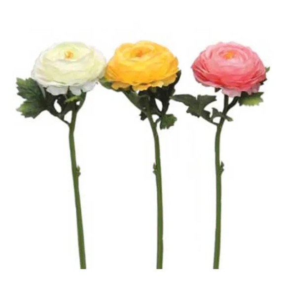 ΚΛΑΔΙ ΝΕΡΑΓΚΟΥΛΑ ASS (3 ΧΡΩΜΑΤΑ) Υ53cm. 12/144KIB – Προσφέρει μοναδική αισθητική | iroots.gr