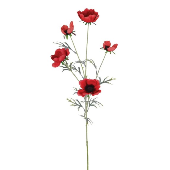 ΚΛΑΔΙ ΠΑΠΑΡΟΥΝΑ ΚΟΚΚΙΝΟ - Y80cm 24/120KIB – Δίνει premium χαρακτήρα στο περιβάλλον | iroots.gr