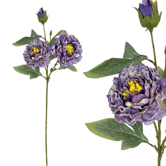 ΜΩΒ ΠΑΣΤΕΛ ΚΛΑΔΙ ΠΑΙΩΝΙΑ - Υ71cm 24/144ΚΙΒ – Δημιουργεί αίσθηση πολυτέλειας χωρίς κόπο | iroots.gr