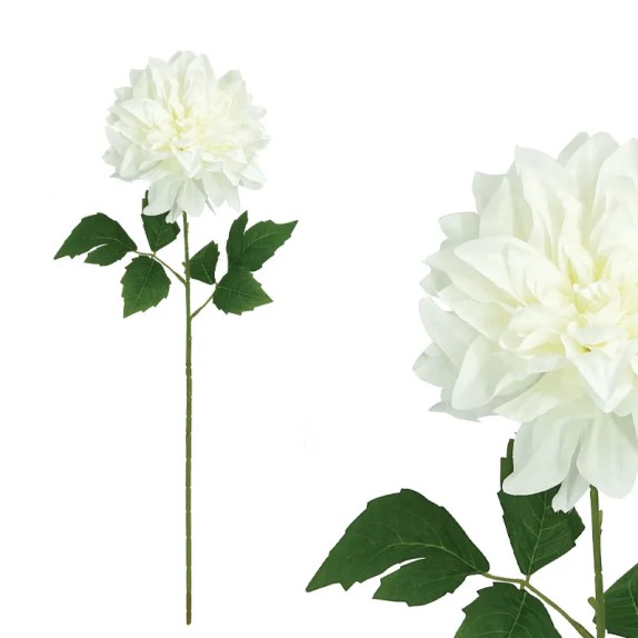 ΣΑΜΠΑΝΙ ΚΛΑΔΙ ΝΤΑΛΙΑ - Y67cm 24/144ΚΙΒ – Προσφέρει μοναδική αισθητική | iroots.gr