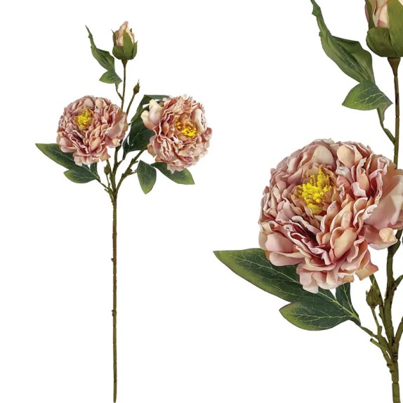 ΣΟΜΟΝ ΠΑΣΤΕΛ ΚΛΑΔΙ ΠΑΙΩΝΙΑ - Υ71cm 24/144ΚΙΒ – Προσφέρει μοναδική αισθητική | iroots.gr