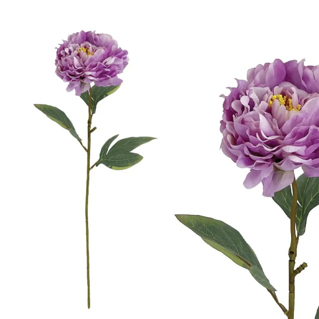 ΛΙΛΑ ΠΑΣΤΕΛ ΚΛΑΔΙ ΠΑΙΩΝΙΑ - Υ61cm 24/144ΚΙΒ – Προσφέρει μοναδική αισθητική | iroots.gr