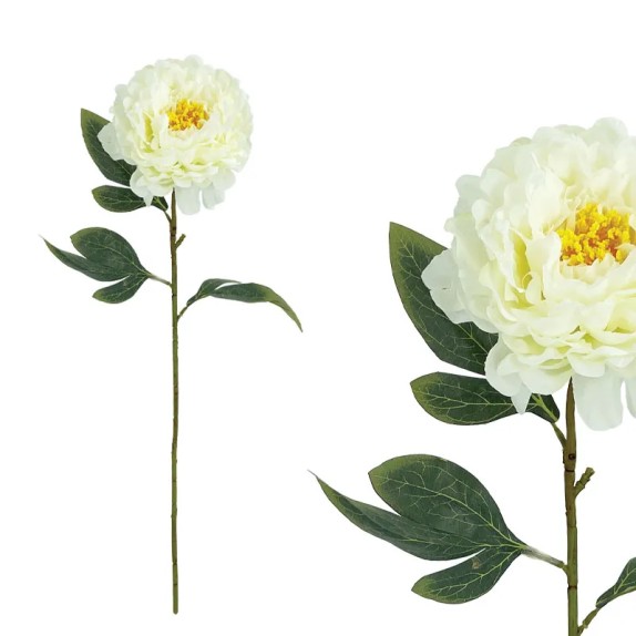 ΕΚΡΟΥ ΚΛΑΔΙ ΠΑΙΩΝΙΑ - Υ61cm 24/144ΚΙΒ – Ταιριάζει σε κάθε μοντέρνο ή επαγγελματικό χώρο | iroots.gr