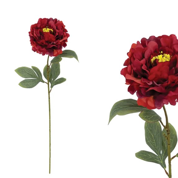 KOKKINO ΠΑΣΤΕΛ ΚΛΑΔΙ ΠΑΙΩΝΙΑ - Υ61cm 24/144ΚΙΒ – Αναβαθμίζει άμεσα τον χώρο σου | iroots.gr