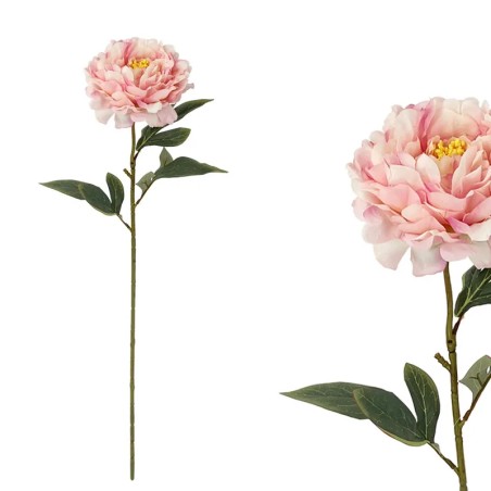 ΡΟΖ ΠΑΣΤΕΛ ΚΛΑΔΙ ΠΑΙΩΝΙΑ - Υ61cm 24/144ΚΙΒ – Ταιριάζει σε κάθε μοντέρνο ή επαγγελματικό χώρο | iroots.gr