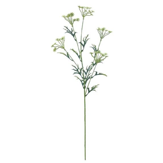 ΚΛΑΔΙ ΚΑΡΑΜΠΟΛΑ ΛΕΥΚΟ - Y80cm 24/120KIB – Ταιριάζει σε κάθε μοντέρνο ή επαγγελματικό χώρο | iroots.gr