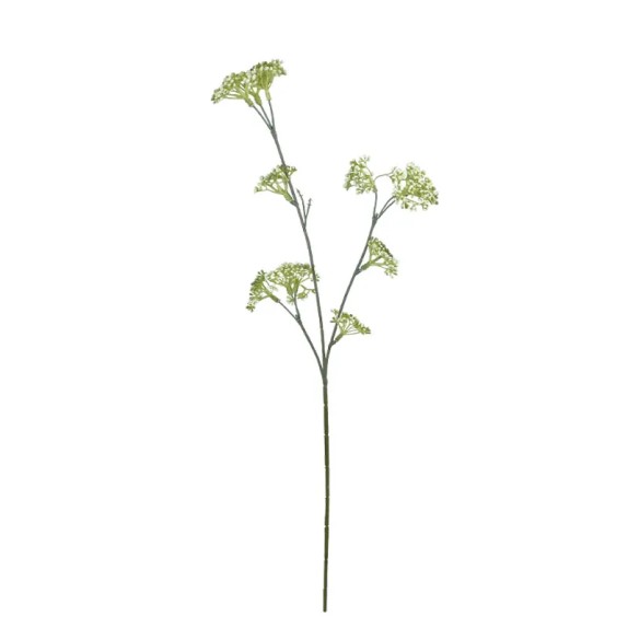 ΚΛΑΔΙ ΚΑΡΑΜΠΟΛΑ ΛΕΥΚΟ - Y64cm 24/120KIB – Προσφέρει μοναδική αισθητική | iroots.gr