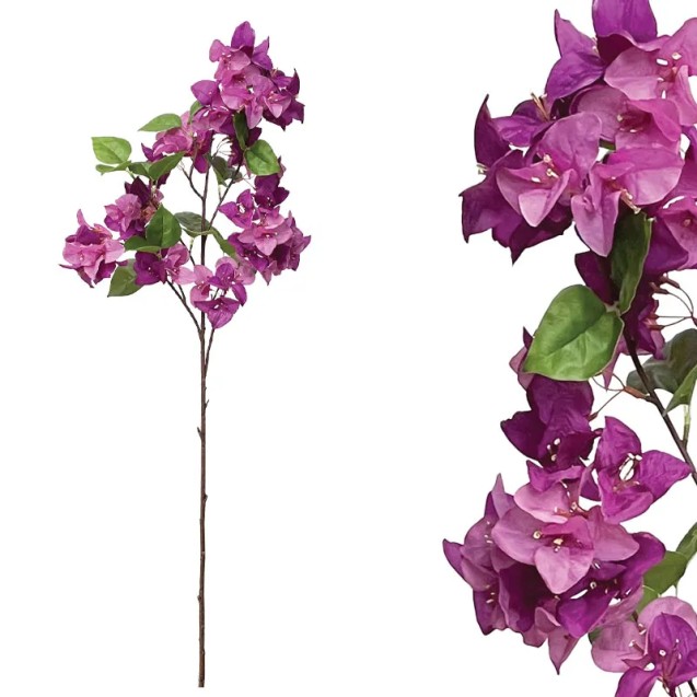 ΚΛΑΔΙ ΒΟΥΚΑΜΒΙΛΙΑΣ ΜΩΒ - Υ108cm 24/144KIB – Προσφέρει μοναδική αισθητική | iroots.gr