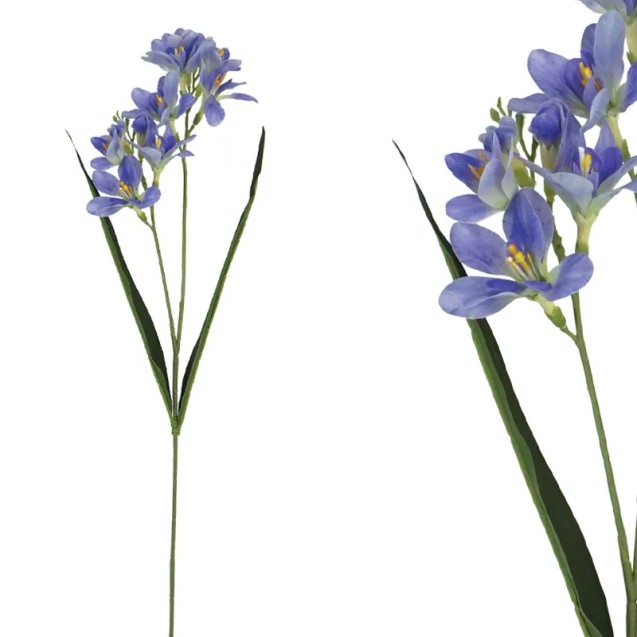 ΚΛΑΔΙ ΦΡΕΖΙΑ REAL ΜΩΒ TOUCH ΜΕ 2 ΚΛΑΔΙΑ ~ 5 ΛΟΥΛΟΥΔΙΑ - Y65cm 36/432ΚΙΒ – Ταιριάζει σε κάθε μοντέρνο ή επαγγελματικό χώρο | iroo