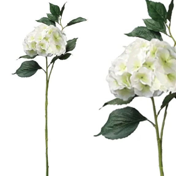 ΚΛΑΔΙ ΟΡΤΑΝΣΙΑ ΛΕΥΚΟ REAL TOUCH ΜΕ 2 ΣΤΕΛΕΧΗ - Υ110cm 12/72ΚΙΒ – Ταιριάζει σε κάθε μοντέρνο ή επαγγελματικό χώρο | iroots.gr