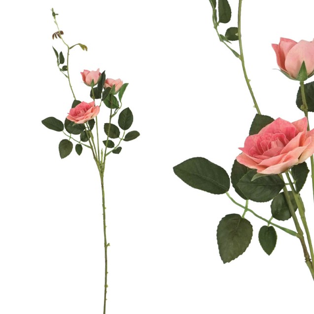 ΚΛΑΔΙ ΤΡΙΑΝΤΑΦΥΛΛΟ ΡΟΖ REAL TOUCH ΜΕ 5 ΣΤΕΛΕΧΗ ~ 3 ΛΟΥΛΟΥΔΙΑ - Υ75cm 24/240ΚΙΒ – Δίνει premium χαρακτήρα στο περιβάλλον | iroots