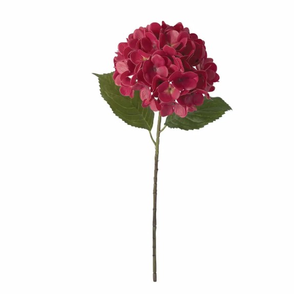 ΚΛΑΔΙ ΟΡΤΑΝΣΙΑΣ ΚΟΚΚΙΝΟ REAL TOUCH ΜΕ 2 ΦΥΛΛΑ - Φ22.5x55cm 24/240ΚΙΒ – Ταιριάζει σε κάθε μοντέρνο ή επαγγελματικό χώρο | iroots.