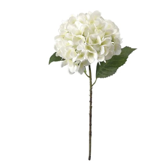 ΚΛΑΔΙ ΟΡΤΑΝΣΙΑΣ ΛΕΥΚΟ REAL TOUCH ΜΕ 2 ΦΥΛΛΑ - Φ22.5x55cm 24/240ΚΙΒ – Αναβαθμίζει άμεσα τον χώρο σου | iroots.gr