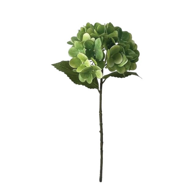 ΚΛΑΔΙ ΟΡΤΑΝΣΙΑΣ ΠΡΑΣΙΝΟ REAL TOUCH ΜΕ 2 ΦΥΛΛΑ - Φ18x46cm 24/240ΚΙΒ – Ταιριάζει σε κάθε μοντέρνο ή επαγγελματικό χώρο | iroots.gr