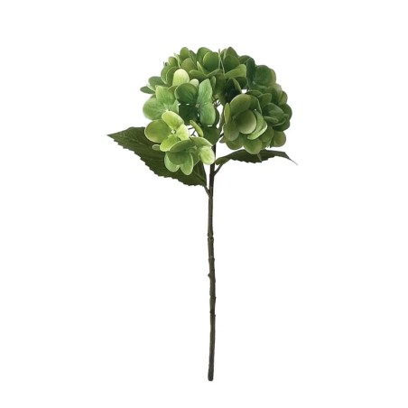 ΚΛΑΔΙ ΟΡΤΑΝΣΙΑΣ ΠΡΑΣΙΝΟ REAL TOUCH ΜΕ 2 ΦΥΛΛΑ - Φ18x46cm 24/240ΚΙΒ – Ταιριάζει σε κάθε μοντέρνο ή επαγγελματικό χώρο | iroots.gr