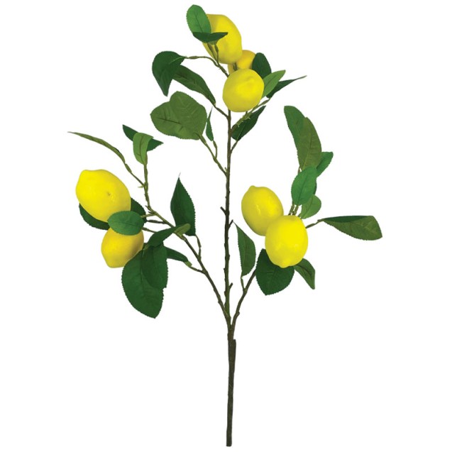 ΚΛΑΔΙ ΛΕΜΟΝΙΑΣ ΚΙΤΡΙΝΟ ΜΕ ΚΑΡΠΟΥΣ - Y62cm 12/72ΚΙΒ – Δίνει premium χαρακτήρα στο περιβάλλον | iroots.gr