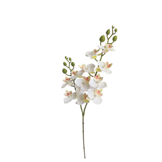 ΣΑΜΠΑΝΙ ΚΛΑΔΙ ΔΙΑΚΟΣΜΗΣΗΣ ΟΡΧΙΔΕΑ ΦΑΛΑΙΝΟΨΙΣ Χ2 - Υ63.5cm 24/240ΚΙΒ – Αναβαθμίζει άμεσα τον χώρο σου | iroots.gr