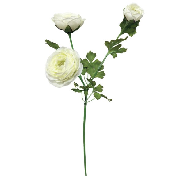 ΔΙΑΚΟΣΜΗΤΙΚΟ ΚΛΑΔΙ ΝΕΡΑΓΚΟΥΛΑ ΕΚΡΟΥ Χ3 - 83cm 12/144ΚΙΒ – Ταιριάζει σε κάθε μοντέρνο ή επαγγελματικό χώρο | iroots.gr