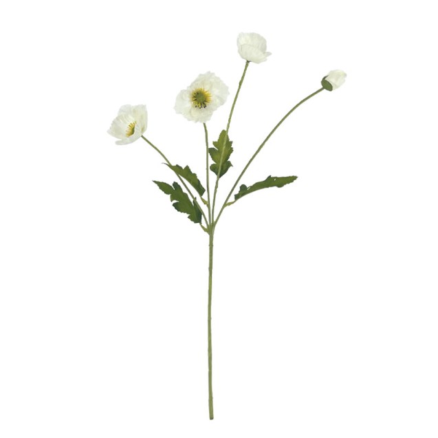 ΚΛΑΔΙ ΠΑΠΑΡΟΥΝΑ ΛΕΥΚΟ Χ4 ΑΝΘΗ - 57cm 24/240ΚΙΒ