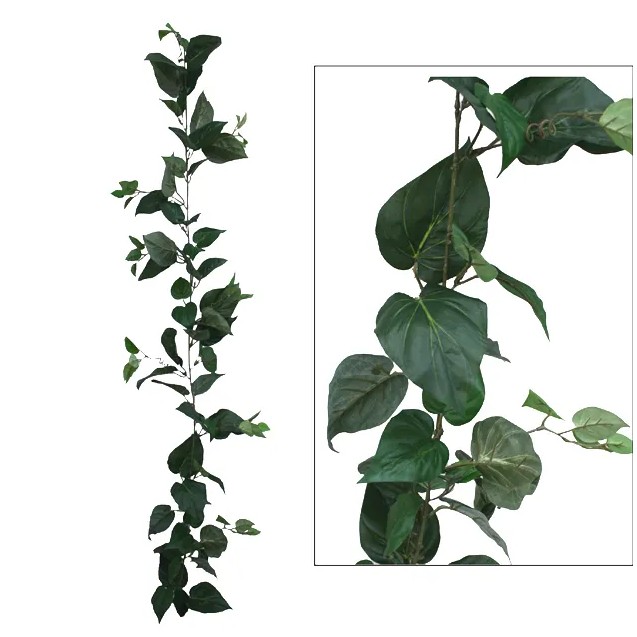 ΓΙΡΛΑΝΤΑ ΠΟΘΟΣ ΠΡΑΣΙΝΟ (122 ΦΥΛΛΑ) Y180cm. 12/72ΚΙΒ – Αναβαθμίζει άμεσα τον χώρο σου | iroots.gr