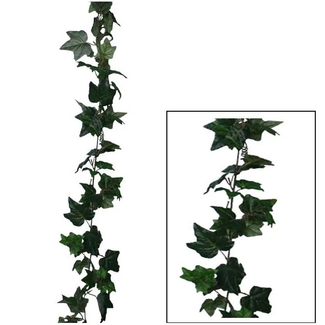 ΓIΡΛΑΝΤΑ ΚΙΣΣΟΣ ΠΡΑΣΙΝΟΣ (122 ΦΥΛΛΑ) Y180cm. 12/72ΚΙΒ
