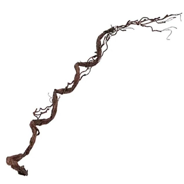 ΚΛΑΡΑ ΚΑΦΕ ΤΙΚ Υ110cm. 48ΚΙΒ – Δημιουργεί αίσθηση πολυτέλειας χωρίς κόπο | iroots.gr