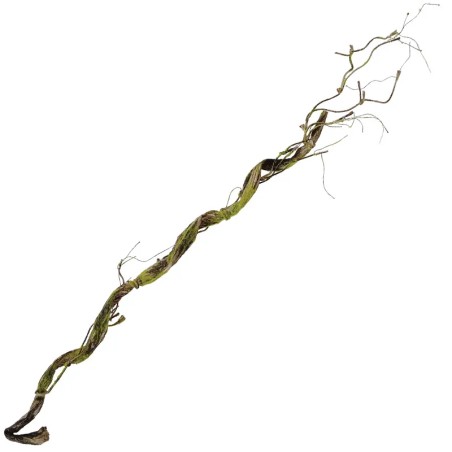 ΚΛΑΡΑ ΠΡΑΣΙΝΟ/ΚΑΦΕ ΦΥΣΙΚΟ ΤΙΚ - Υ110cm 48ΚΙΒ – Ταιριάζει σε κάθε μοντέρνο ή επαγγελματικό χώρο | iroots.gr