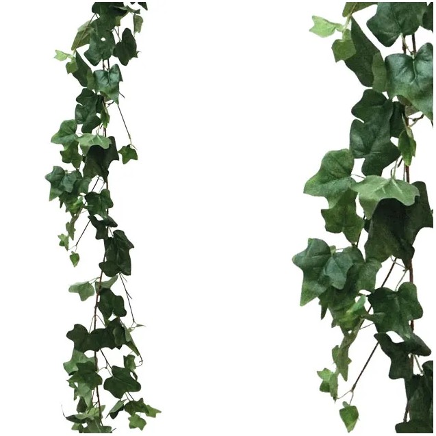 ΓΙΡΛΑΝΤΑ ΚΙΣΣΟΣ ΠΡΑΣΙΝΟΣ Y170cm 1/100KIB