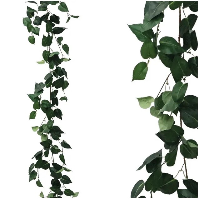 ΓΙΡΛΑΝΤΑ ΠΟΘΟΣ ΠΡΑΣΙΝΟΣ Υ170cm 1/100ΚΙΒ – Δίνει premium χαρακτήρα στο περιβάλλον | iroots.gr