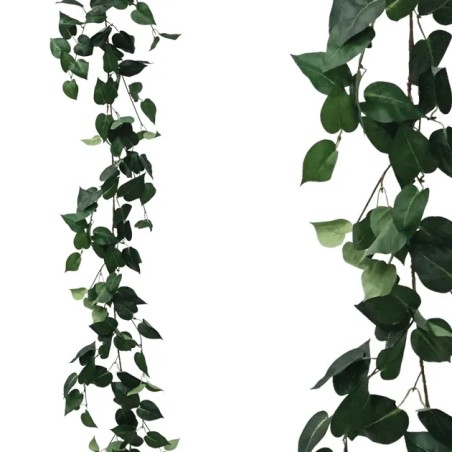 ΓΙΡΛΑΝΤΑ ΠΟΘΟΣ ΠΡΑΣΙΝΟΣ Υ170cm 1/100ΚΙΒ – Δίνει premium χαρακτήρα στο περιβάλλον | iroots.gr