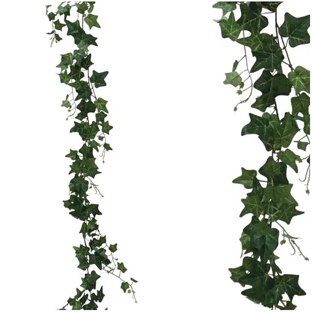 ΓΙΡΛΑΝΤΑ ΚΙΣΣΟΣ ΠΡΑΣΙΝΟΣ Υ185cm 36/216ΚΙΒ – Ταιριάζει σε κάθε μοντέρνο ή επαγγελματικό χώρο | iroots.gr