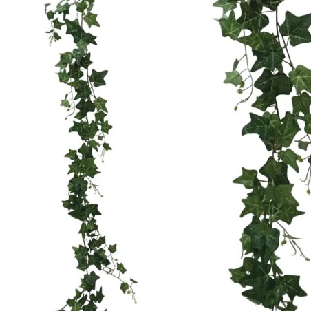 ΓΙΡΛΑΝΤΑ ΚΙΣΣΟΣ ΠΡΑΣΙΝΟΣ Υ185cm 36/216ΚΙΒ – Ταιριάζει σε κάθε μοντέρνο ή επαγγελματικό χώρο | iroots.gr