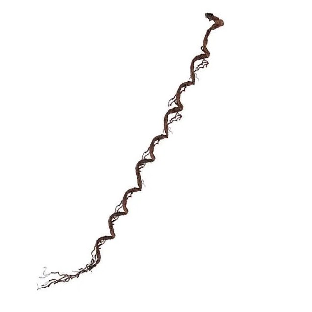 ΚΛΑΡΑ ΚΑΦΕ ΤΙΚ 220cm 24/ΚΙΒ – Προσφέρει μοναδική αισθητική | iroots.gr