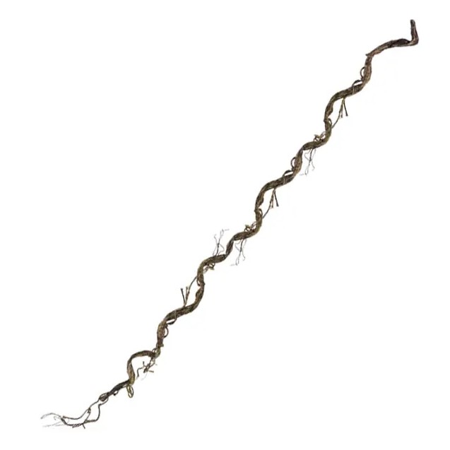 ΚΛΑΡΑ ΠΡΑΣΙΝΟ ΤΙΚ 220cm. 24 ΚΙΒ – Δίνει premium χαρακτήρα στο περιβάλλον | iroots.gr