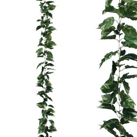 ΓΙΡΛΑΝΤΑ ΠΟΘΟΣ ΔΙΧΡΩΜΟ ΠΡΑΣΙΝΟ - Υ270cm 1/96ΚΙΒ – Αναβαθμίζει άμεσα τον χώρο σου | iroots.gr