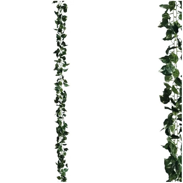 ΓΙΡΛΑΝΤΑ ΠΟΘΟΣ ΠΡΑΣΙΝΟ/ΚΙΤΡΙΝΟ ΑΛΥΣΙΔΑ Υ270cm 1/120ΚΙΒ – Ταιριάζει σε κάθε μοντέρνο ή επαγγελματικό χώρο | iroots.gr